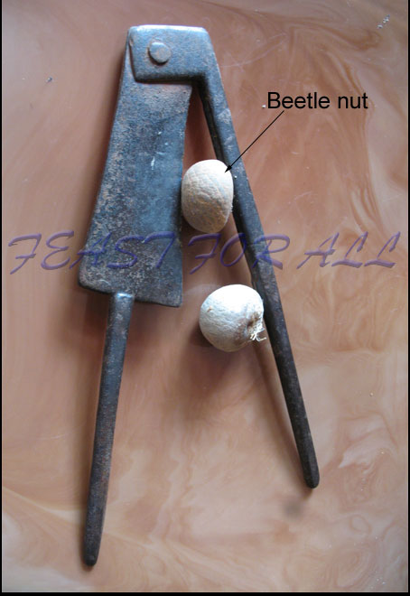 beetlenutcutter1